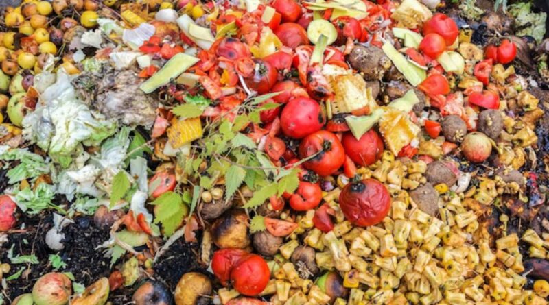Plus de 40 tonnes de légumes secs saisies à Alger